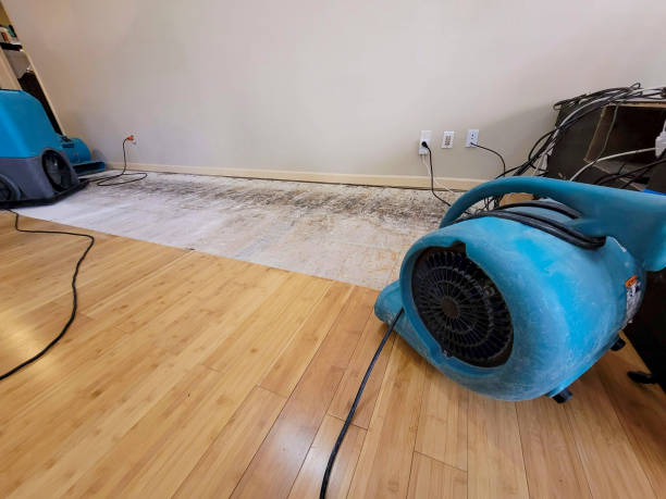 Professional Basement Flood Cleanup technician working in Mount Kisco, NY